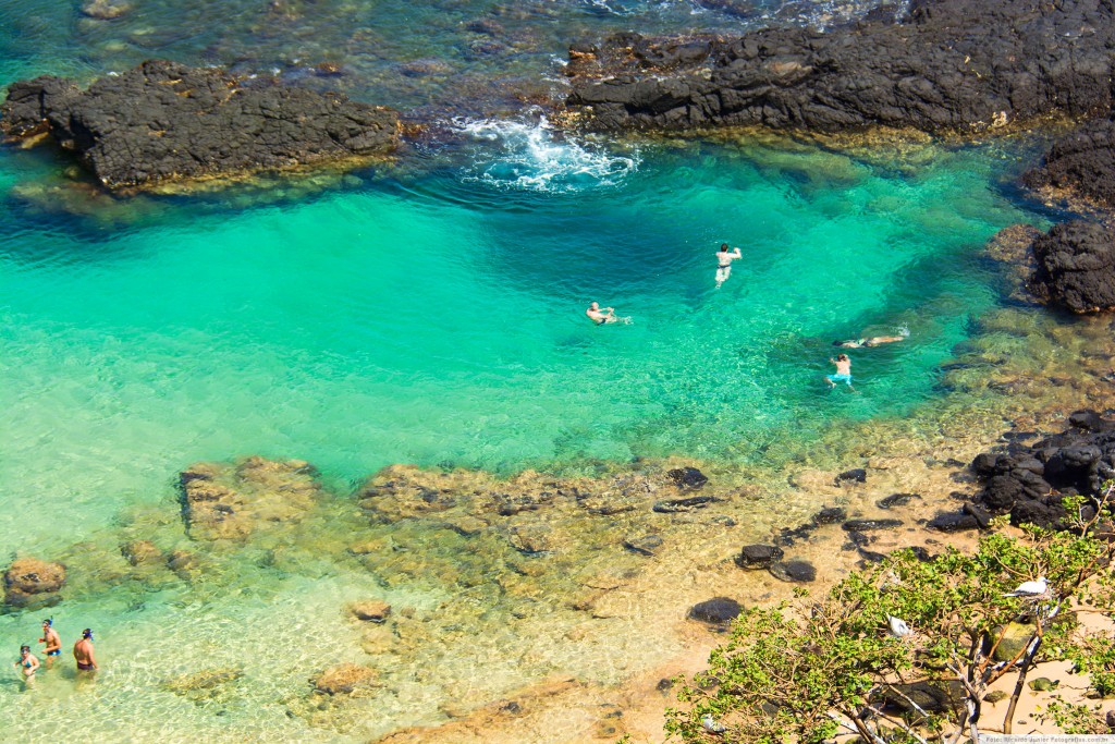 Piscinas Naturais Do Nordeste Por Ricardo Junior Lbum De Viagem