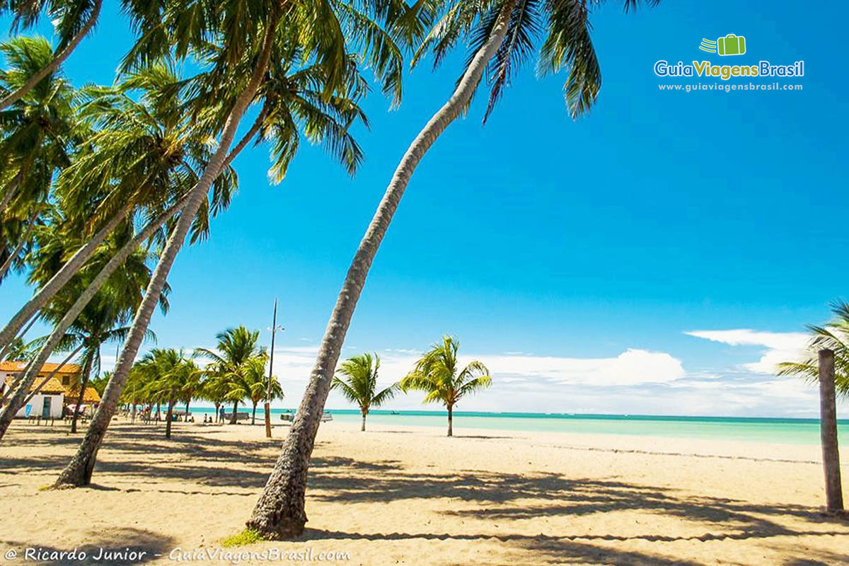 Melhores Praias De Alagoas Fotos E Dicas