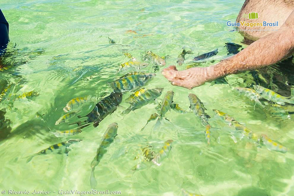 PRAIA DE MARAGOGI: o que saber antes de ir, fotos e o que fazer