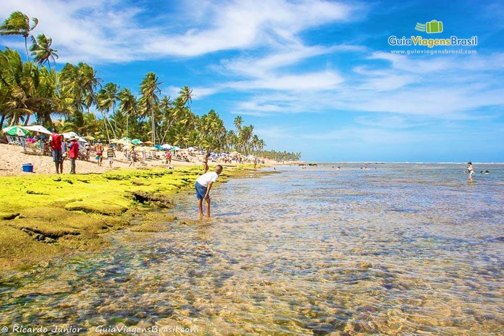 BATE E VOLTA: 7 DESTINOS IMPERDÍVEIS Bem Perto De SALVADOR