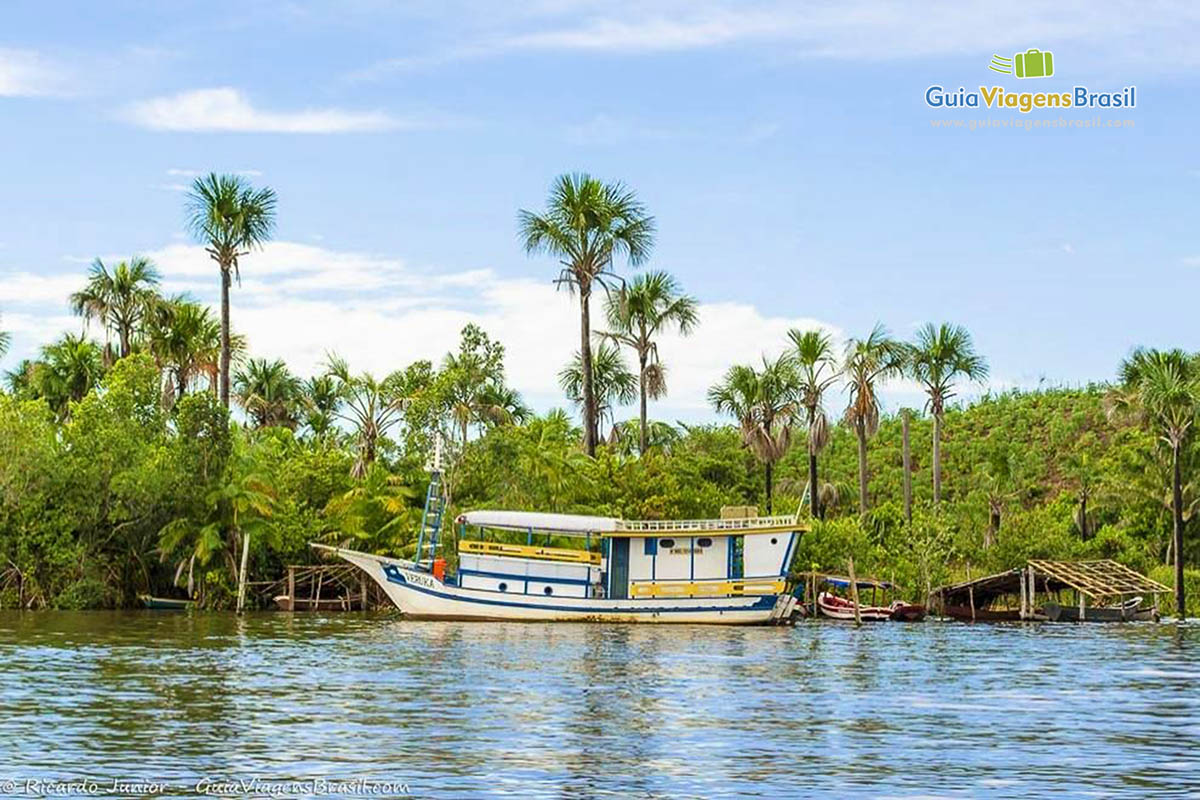 Imagem de um barco de passeio e ao fundo lindos coqueiros.