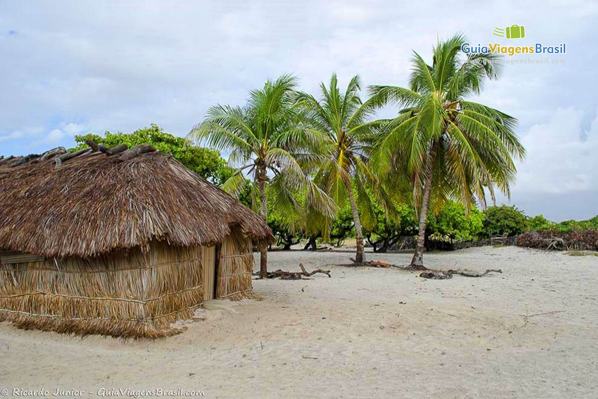 Imagem da bela casa de sapê e coqueiros nas dunas.