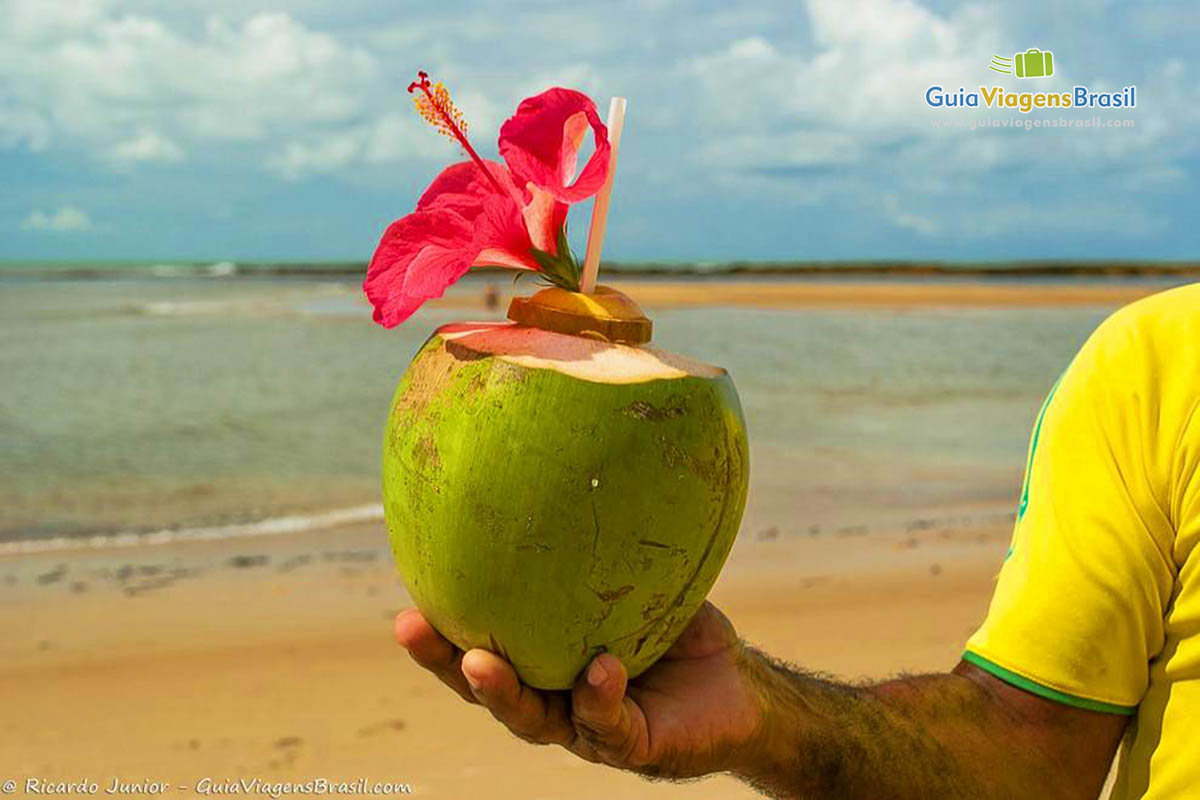 Imagem de um coco que é vendido na praia.