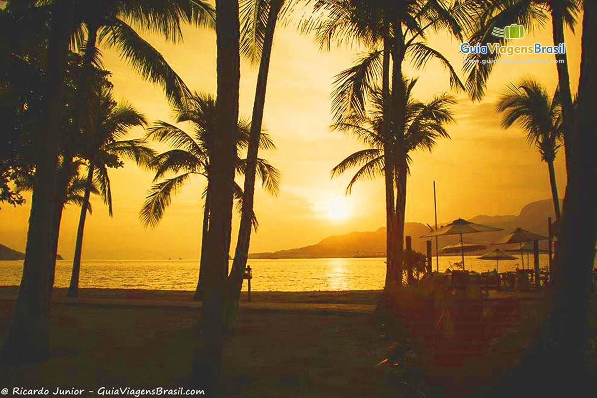 Imagem de coqueiros e ao fundo sol se pondo na linda Praia Perequê.