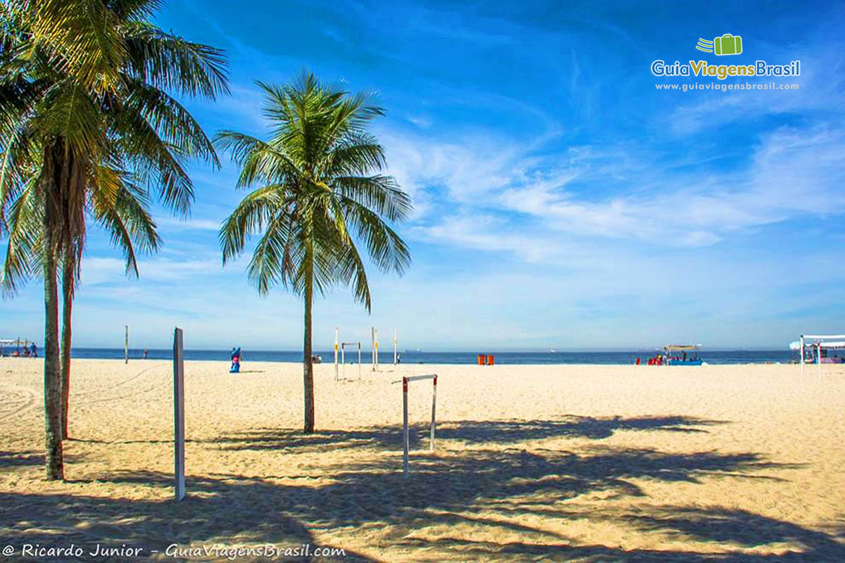 Imagem de coqueiros embelezando ainda mais a bela Praia de Copacabana.