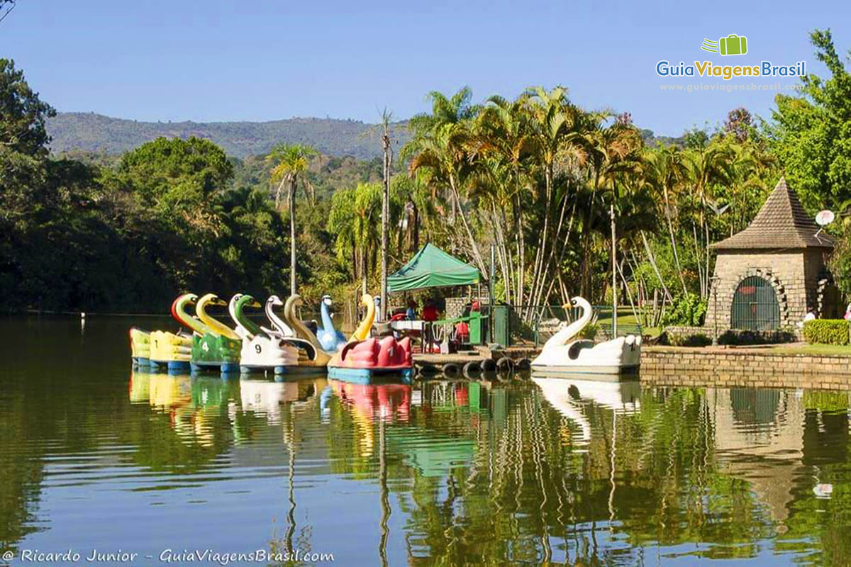 Imagem de vários pedalinhos de pato no lago do Parque Edmundo Zanoni.