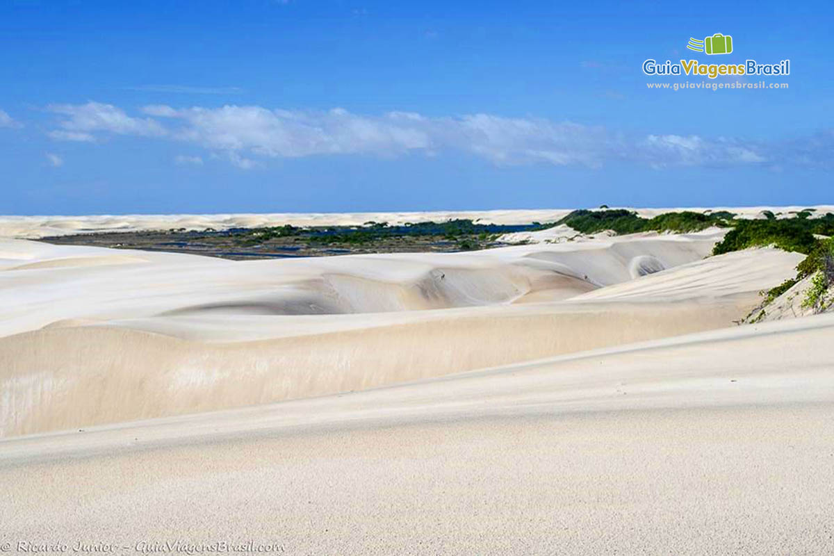 Imagem de uma linda vegetação no meio das dunas.