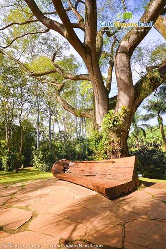 Imagem de um lindo e enorme banco de madeira, feito com tronco de uma árvore.