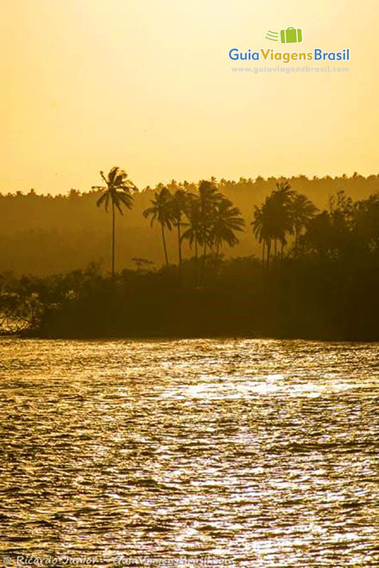 Imagem da luz alaranjada do sol, refletindo nas águas e nos coqueiros da Lagoa de Guaraíras.
