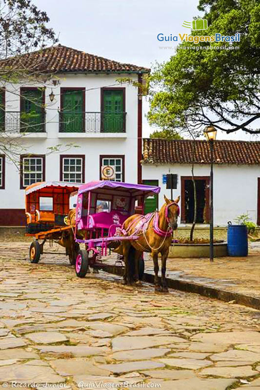 Imagem da charrete rosa parada no Largo das Forras.