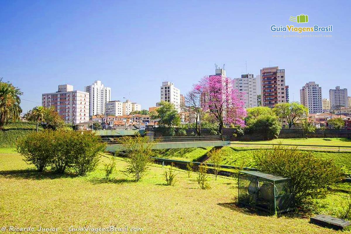 Imagem do belo jardim em plena sintonia com a cidade de São Paulo.
