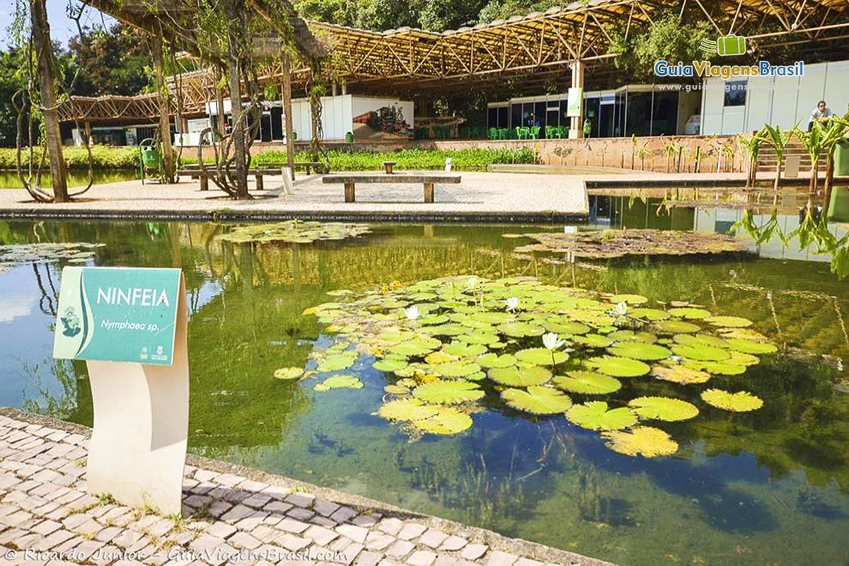 Imagem de lindo lago e flores do Parque das Mangabeiras.