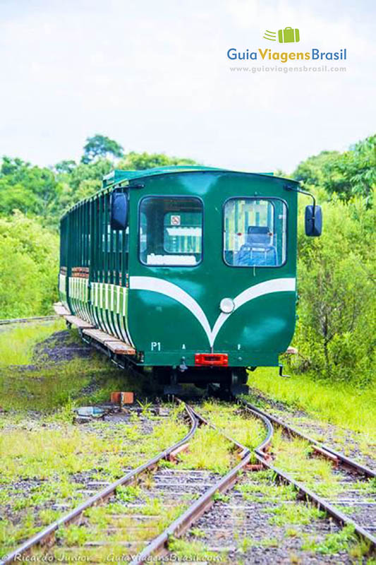 Imagem do trem, que passeia pelo Parque Nacional do Iguazu.