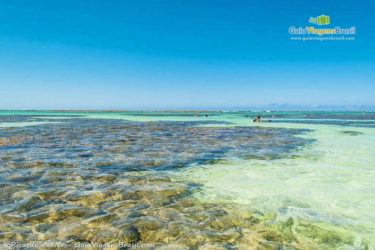 Imagem das águas transparentes  da piscina natural de Maragogi.