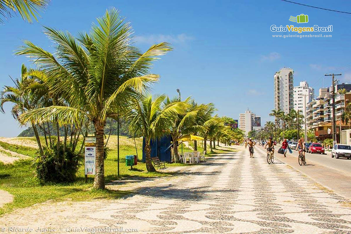 Imagem da orla da Praia Brava, com pequenos coqueiros e prédios na avenida, em Caiobá, Santa Catarina, Brasil.