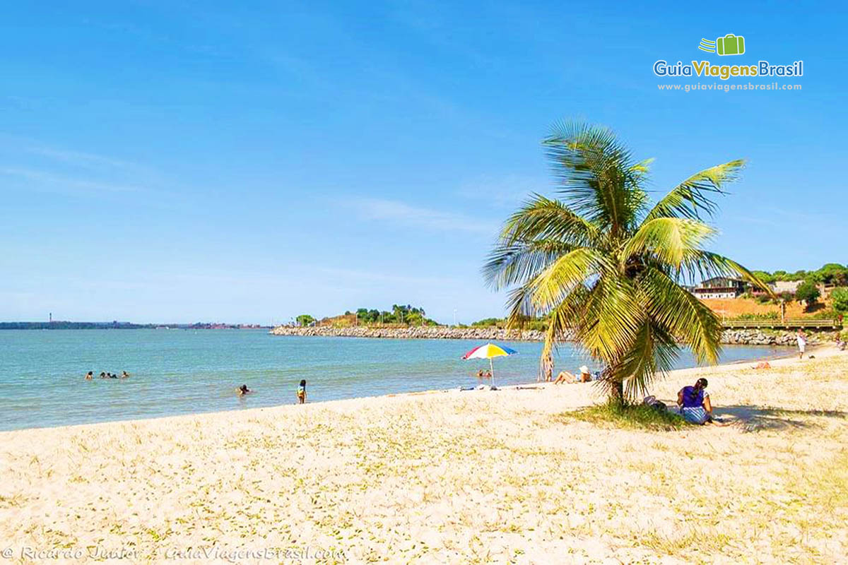 Imagem de turistas se protegendo do sol em baixo de um pequeno coqueiros e crianças no mar da praia.