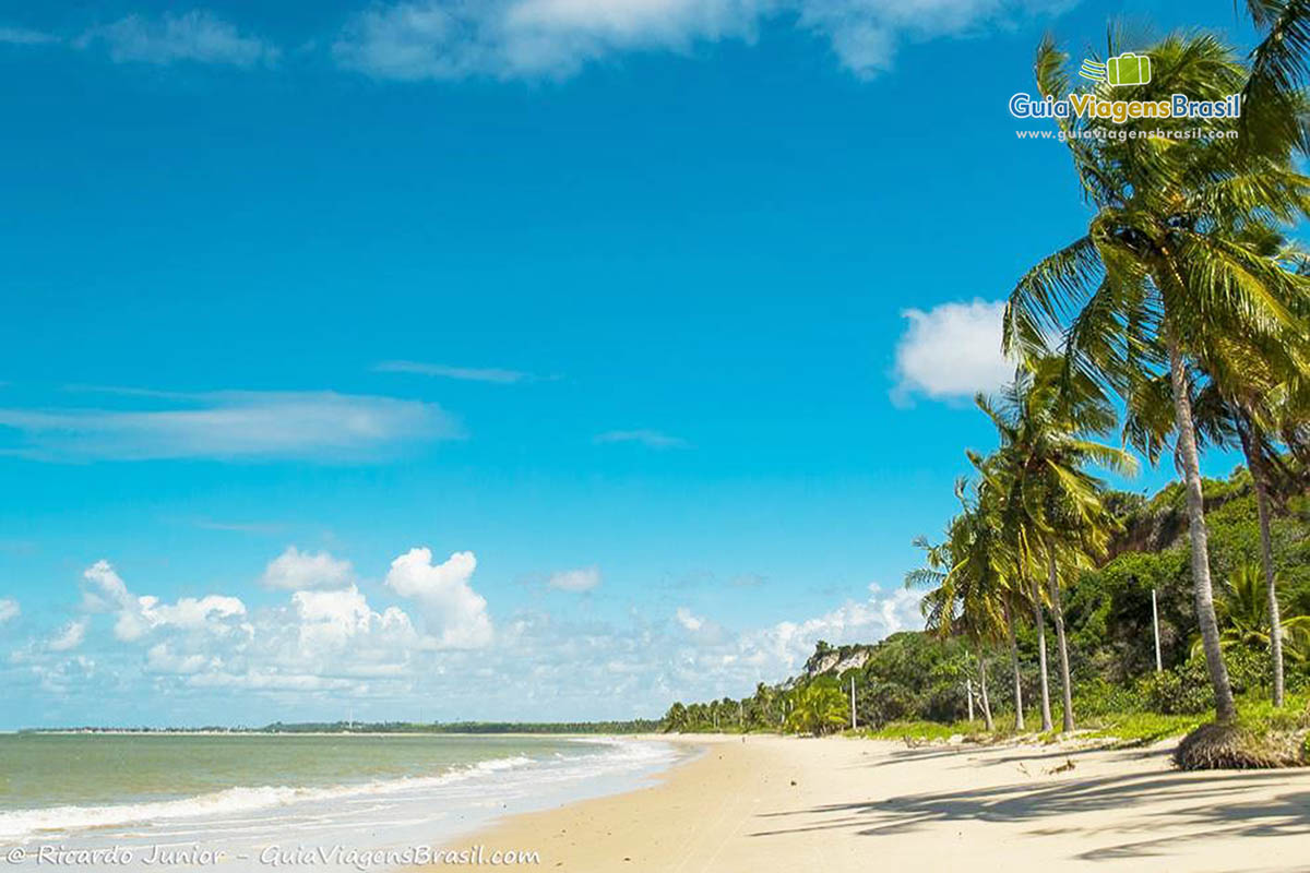 Imagem de belos coqueiros e lindo mar da famosa praia de Carro Quebrado.