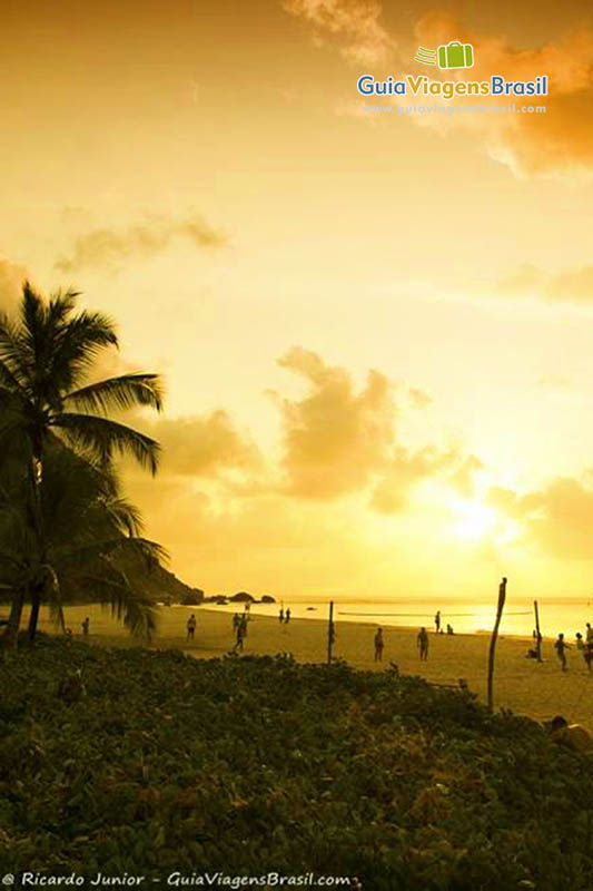 Imagem a esquerda de coqueiros e do outro lado um pôr do sol, deslumbrante, na Praia da Conceição, em Fernando de Noronha, Pernambuco, Brasil.