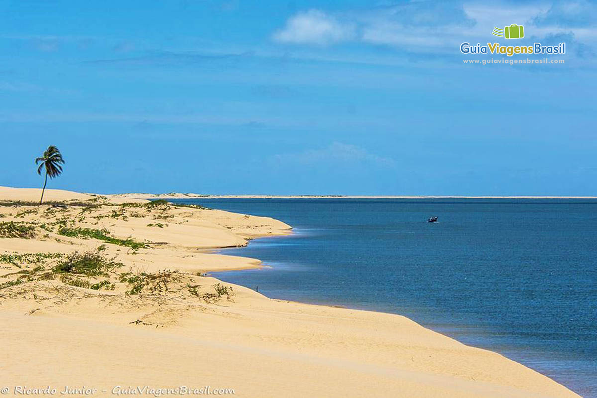 Imagem das areias límpidas e claras e das águas cristalinas de Foz do Rio São Francisco, em Alagoas, Brasil.
