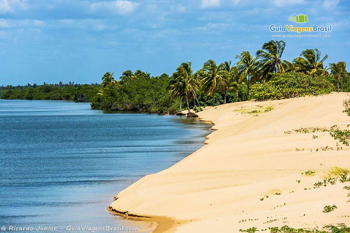 Imagem da Praia Foz Rio São Francisco e ao fundo coqueiros, dando um charme especial para local, Foz Rio São Francisco, em Alagoas, Brasil.
