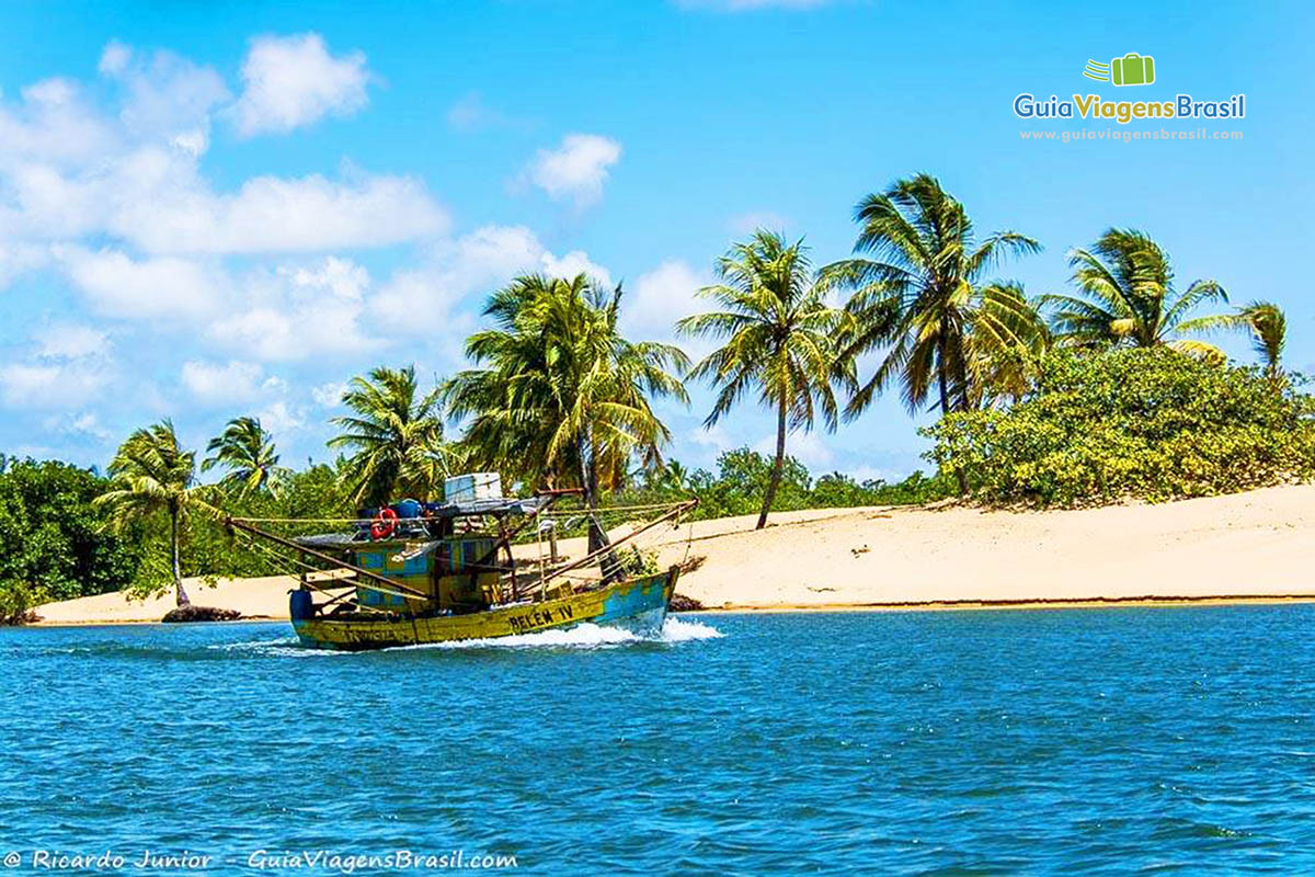 Imagem de um barco de pescador parado na areia e ao fundo belos coqueiros, Foz Rio São Francisco, em Alagoas, Brasil.