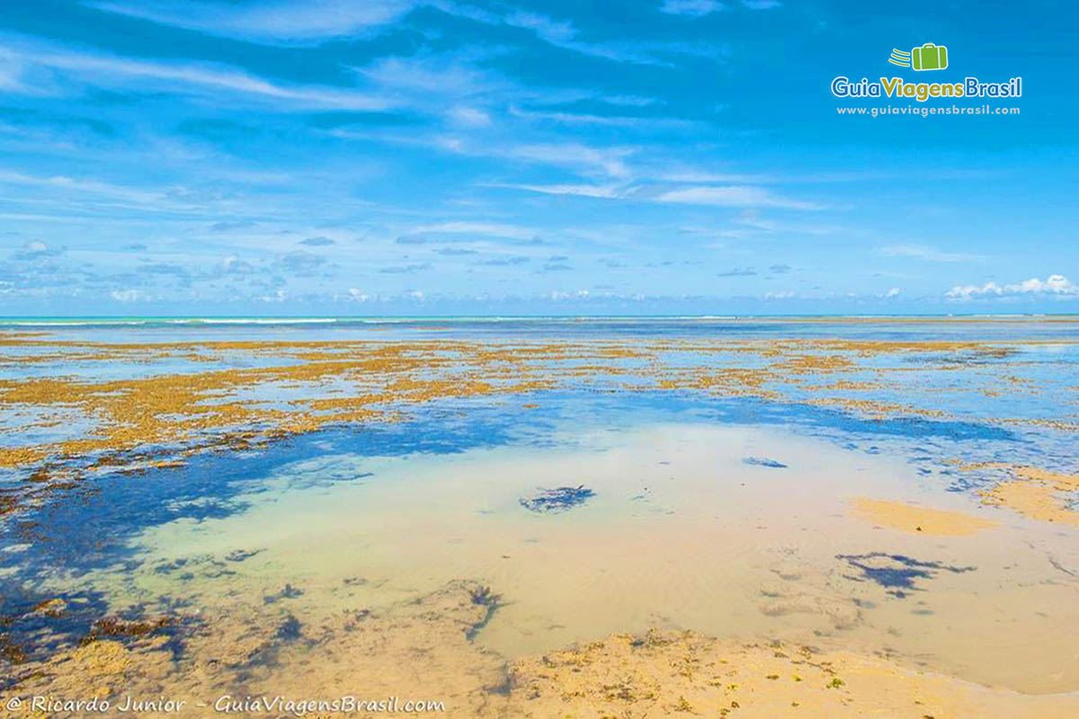 Imagem das águas transparentes da Praia Itapororoca em Trancoso.