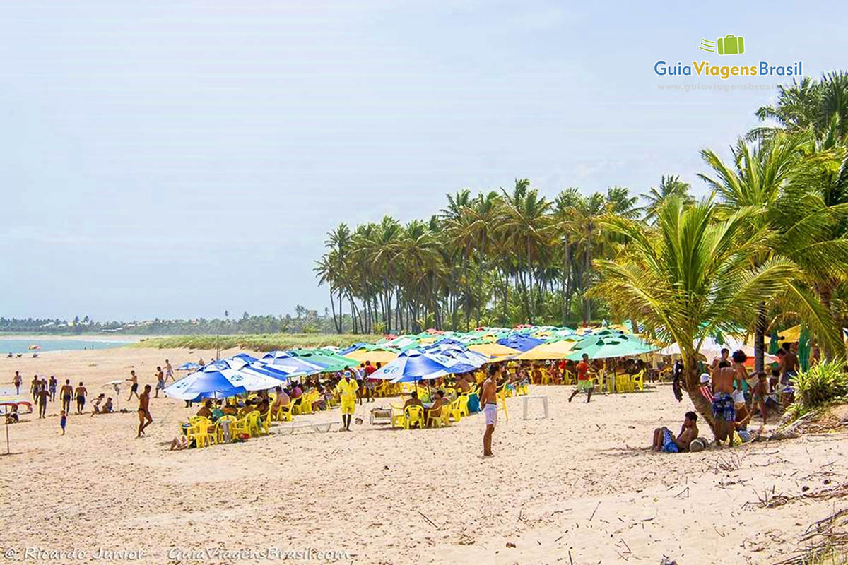 Imagem de guarda sol coloridos organizados na areia da Praia de Guarajuba, e espera de turistas.