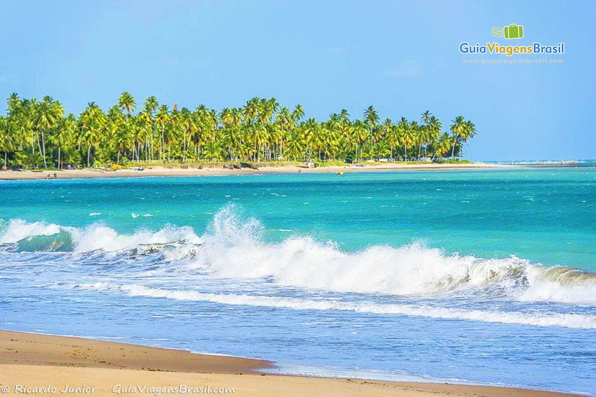 Imagem dos coqueiros ao fundo e o mar da Praia de Guaxuma, em Maceió, Alagoas, Brasil.