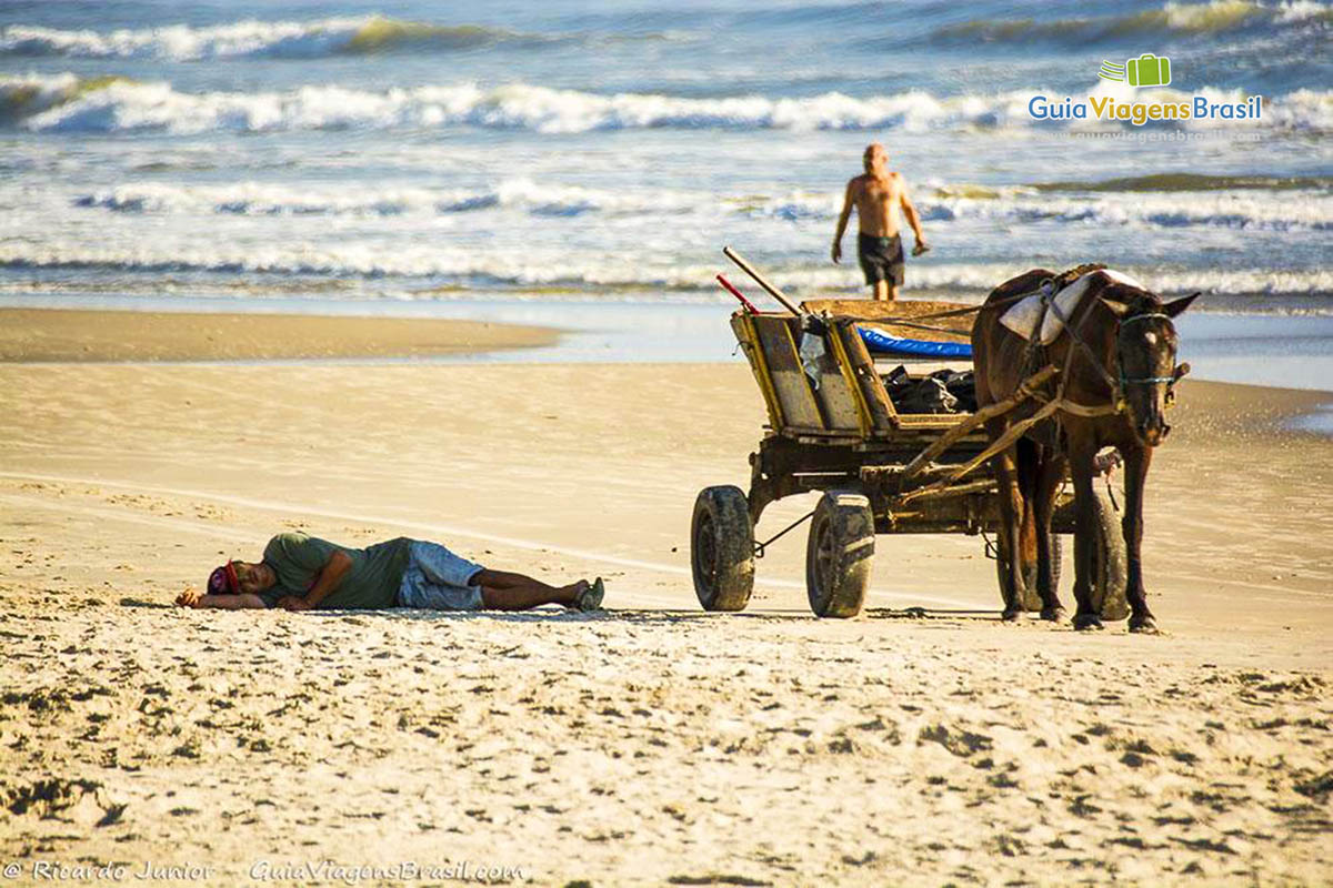 Imagem de um cavalo com uma carroça a atrás parado na areia da Praia de Itapoá, em Itapoá, Santa Catarina, Brasil.