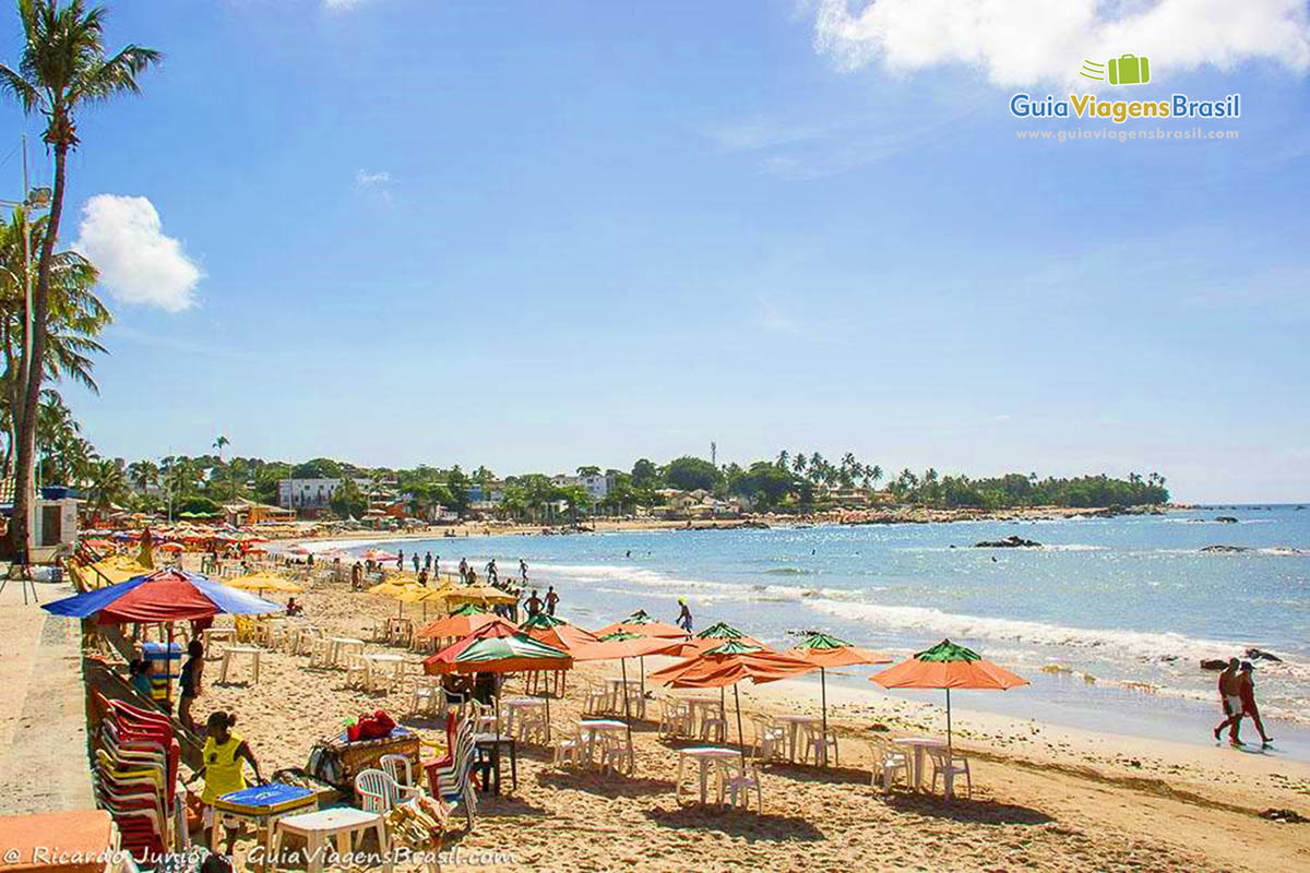 Imagem da areia com guarda-sol e os coqueiros enfileirados na orla da praia.