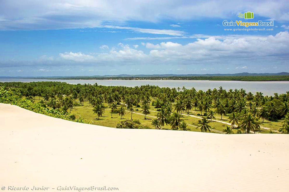 Imagem da vista do alto das dunas, linda paisagem dos coqueiros e do mar.