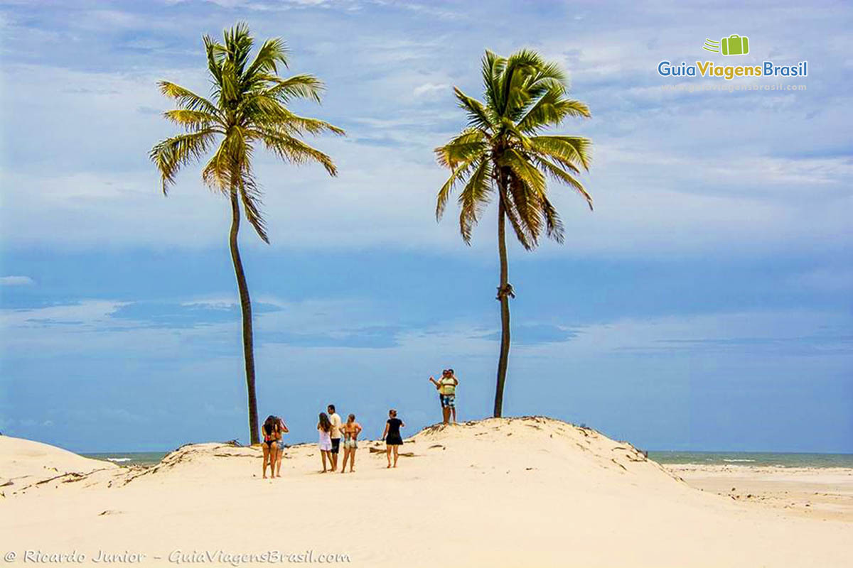 Imagem de turistas entre coqueiros nas dunas tirando foto.