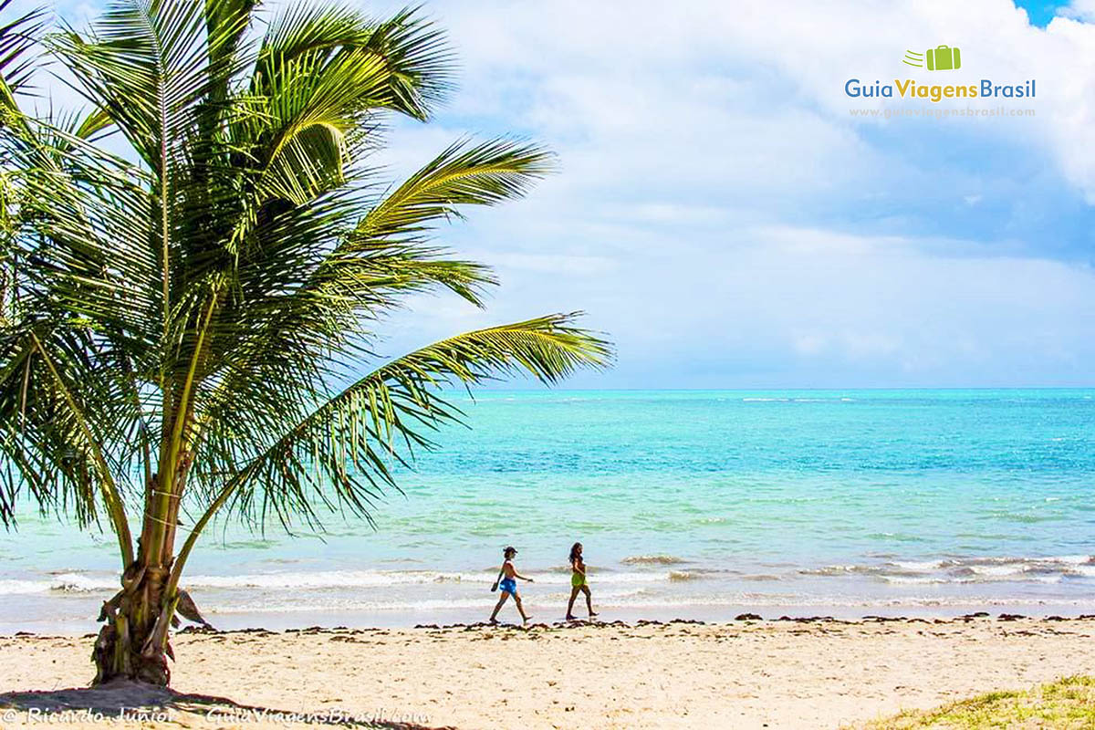 Imagem de palmeira e ao fundo turistas caminhando na beira no mar da Praia de Ponta Verde, em Maceió, Alagoas, Brasil.