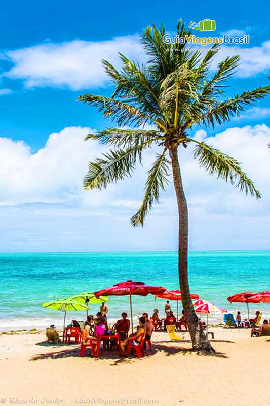 Imagem de turistas aproveitando a sombra do coqueiro da Praia de Ponta Verde, em Maceió, Alagoas, Brasil. 