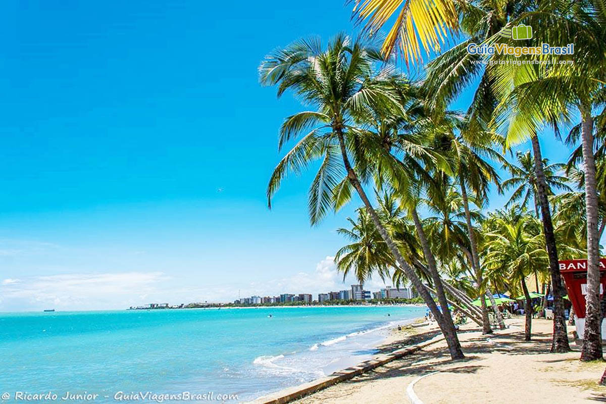 Imagem da Praia de Ponta Verde céu e mar azul, com coqueiros na areia, em Maceió, Alagoas, Brasil.