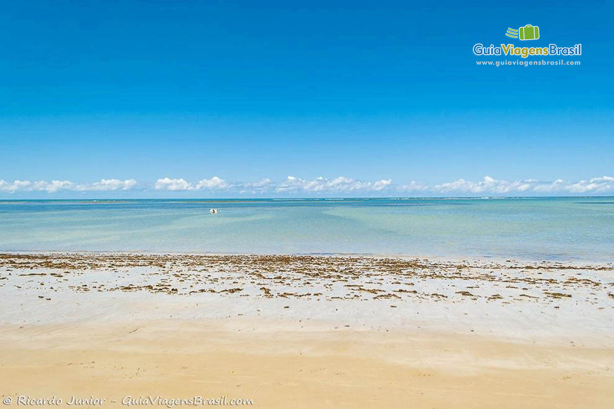 Imagem das águas translúcidas da Praia de Tamandaré