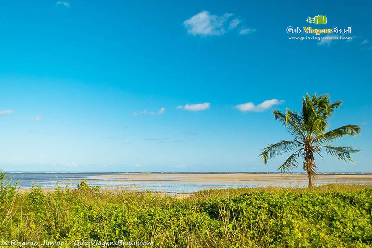 Imagem de um dos lugares paradisíacos de Alagoas, Praia de Tatuamunha.