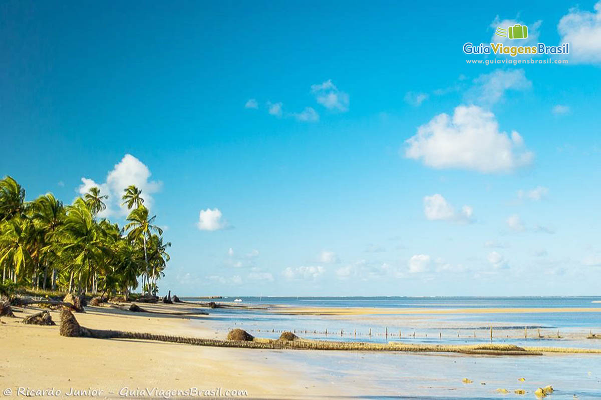 Imagem da extensa Praia de Tatuamunha, em Alagoas.
