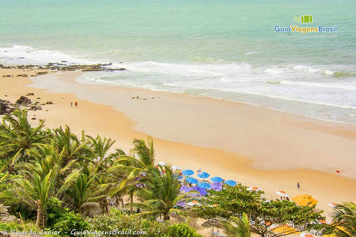 Image dos coqueiros e da famosa Praia do Amor.