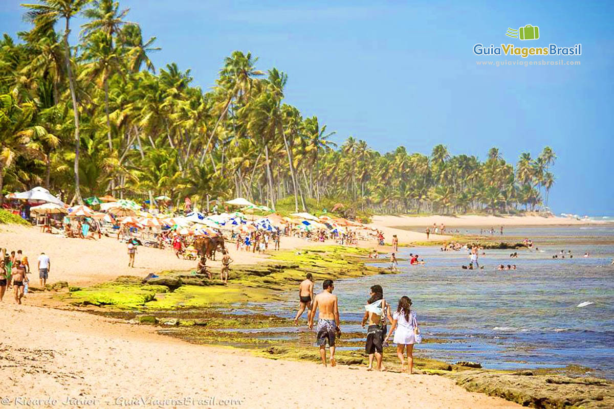 Imagem de turistas aproveitando a tarde na Praia do Forte.