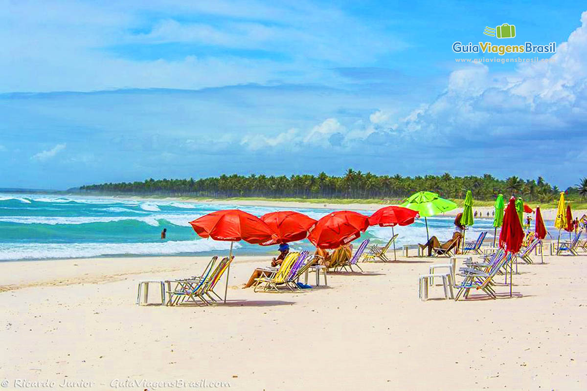 Imagem de cadeiras e guarda sol posicionado para o mar e ao fundo coqueiros da Praia do Frances, em Maceió, Alagoas, Brasil.