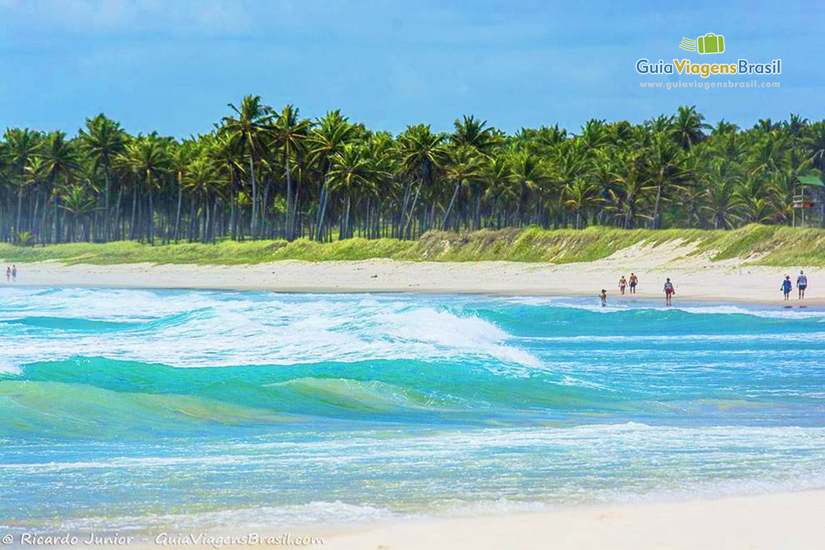 Imagem da maravilhosa Praia do Frances, em Maceió, Alagoas, Brasil.