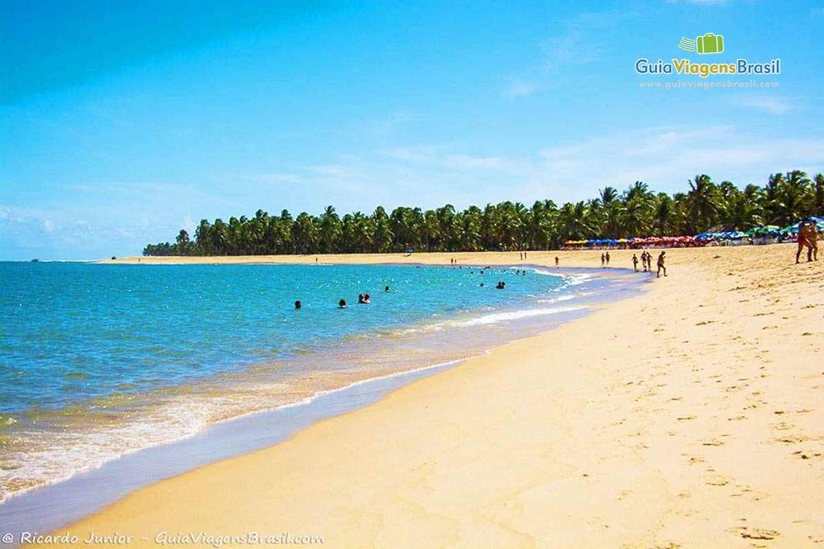 Imagem de toda extensão da Praia do Gunga, em Maceió, Alagoas, Brasil.