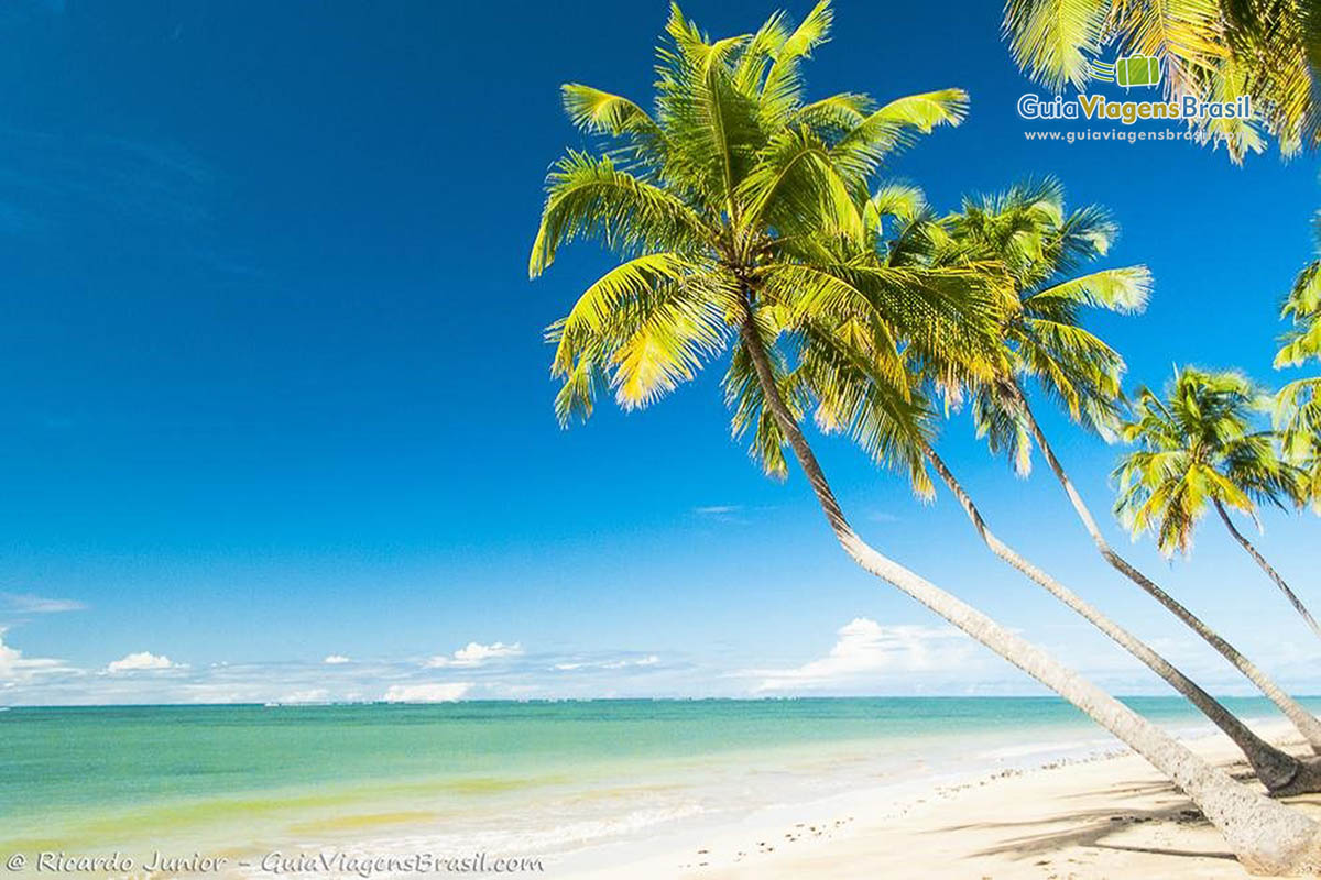 Imagem da paradisíaca Praia do Patacho, em Alagoas