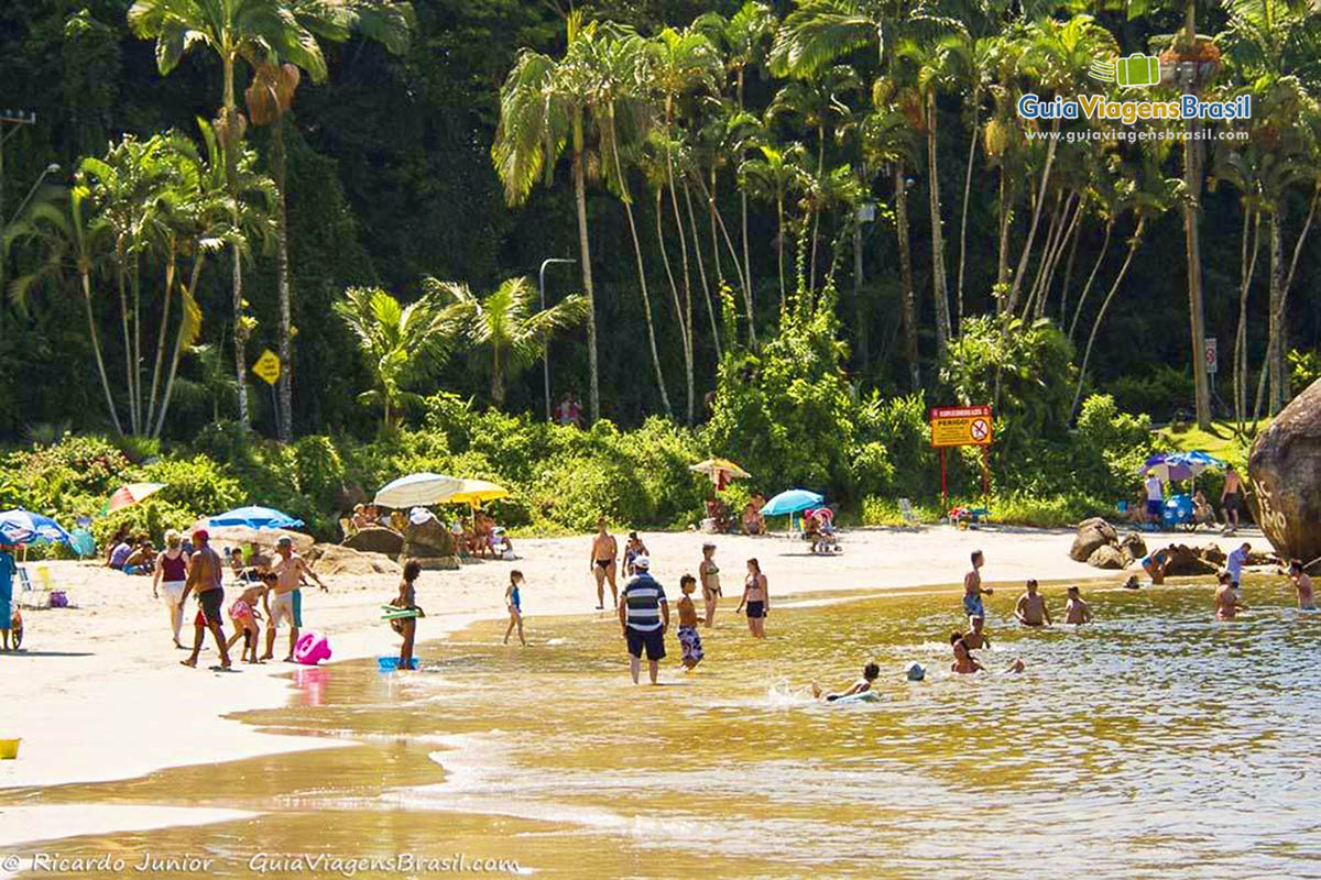 Imagem de várias crianças na água e ao fundo paisagem com uma vegetação linda, na Praia Manda, em Caiobá, Santa Catarina, Brasil.