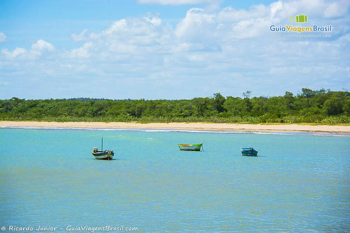 Imagem de três barcos de pescadores, nas águas cristalinas e calmas de Pontal do Coruripe, em Alagoas, Brasil.