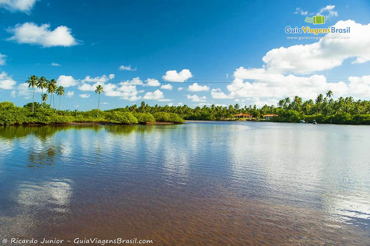 Imagem das águas do Rio Tatuamunha onde são criados os Peixe-Boi.
