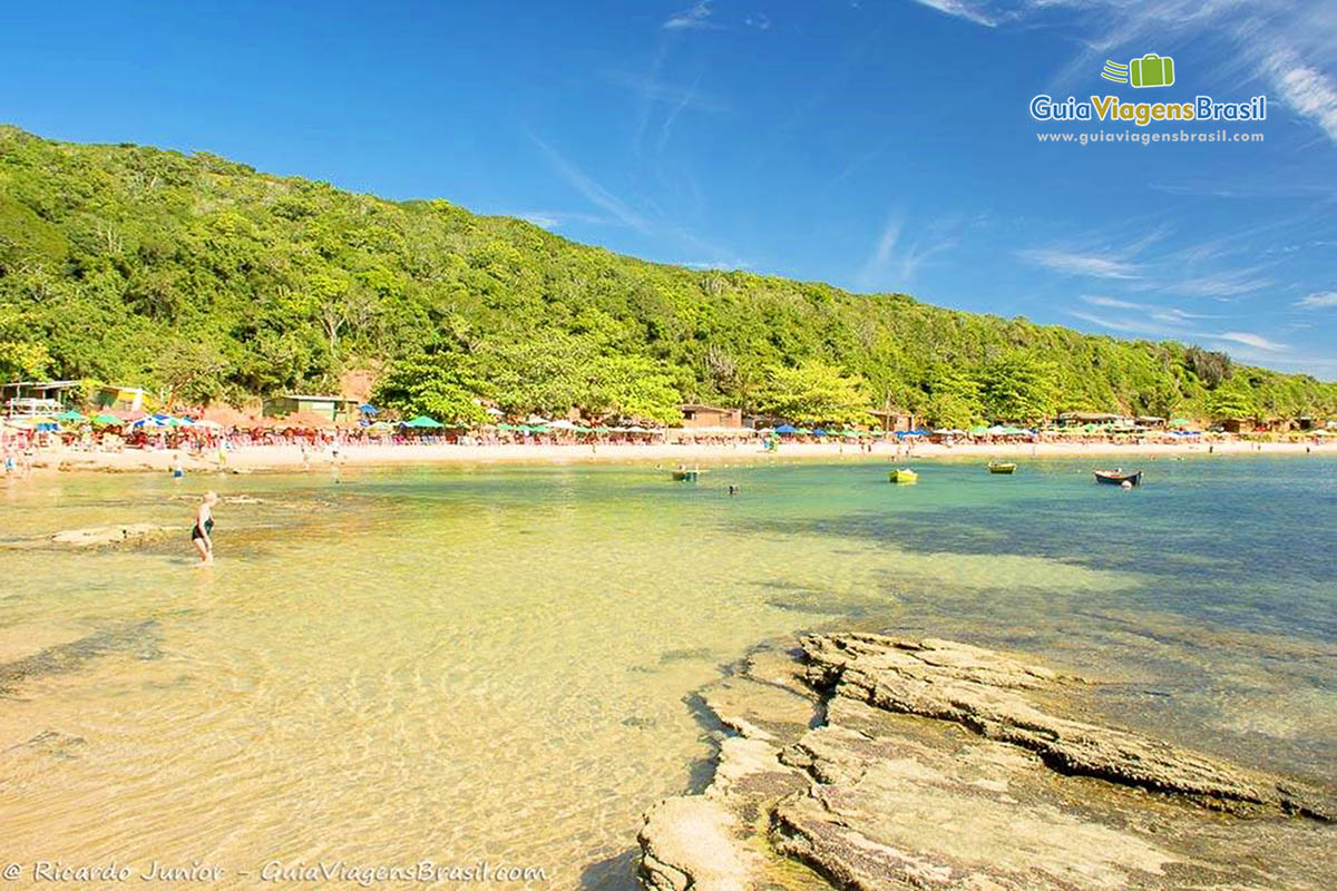 Imagem da praia e sua vegetação bem preservada em Búzios.