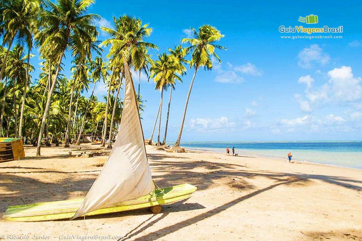 Imagem de uma jangada no meio de coqueiros na areia da Praia Bitingui.