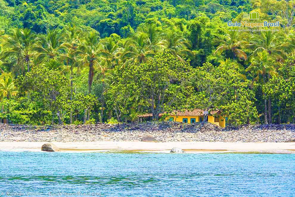 Imagem do mar azul e em torno da casa belas árvores, coqueiros na Praia das Enchovas.